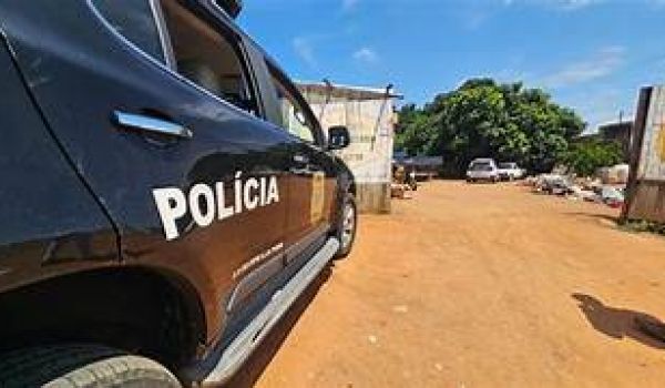Polícia de São Paulo faz operação contra maus-tratos de animais