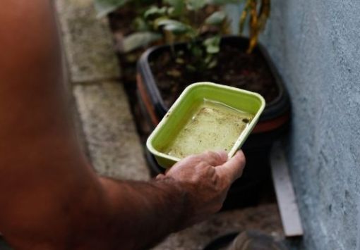 Bahia registra queda de 41% nos casos de dengue em 2026